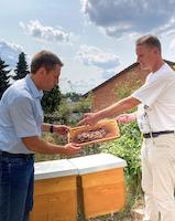 BienenAG_LR Schwarz2